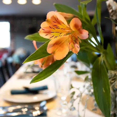 Uroczysko Olesnica 3* Chodzież