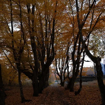 Uroczysko Olesnica Alojamento de Acomodação e Pequeno-almoço 3*