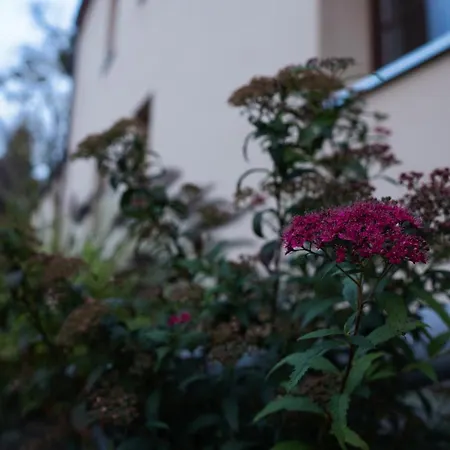 Uroczysko Olesnica Bed & Breakfast Chodziez