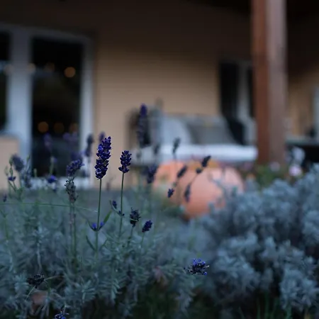 Alojamento de Acomodação e Pequeno-almoço Uroczysko Olesnica