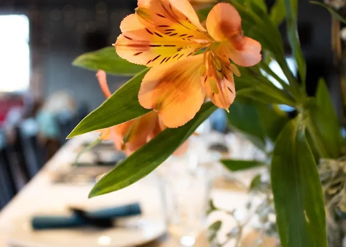 Uroczysko Olesnica 3* Chodzież