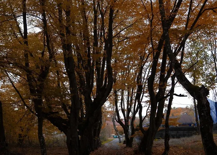 Uroczysko Olesnica Alojamento de Acomodação e Pequeno-almoço 3*