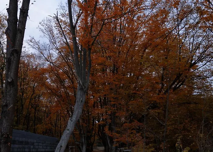 Bed & Breakfast Uroczysko Olesnica