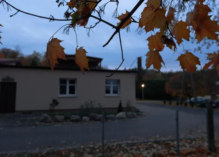 Uroczysko Olesnica Chodzież