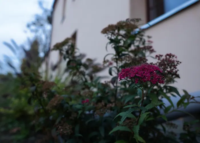 Uroczysko Olesnica Alojamento de Acomodação e Pequeno-almoço Chodzież