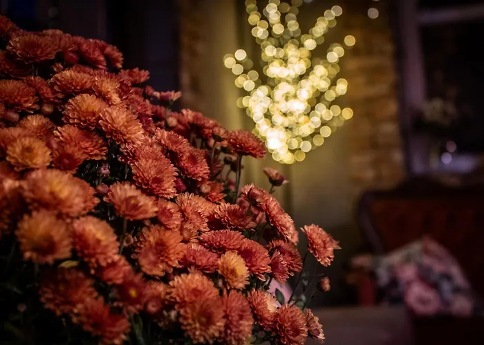 Uroczysko Olesnica Chodzież