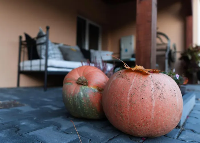 Uroczysko Olesnica 3* Chodzież