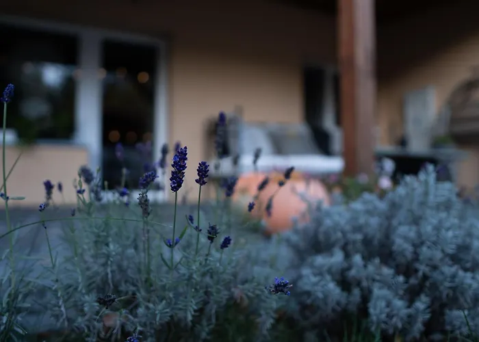 Bed & Breakfast Uroczysko Olesnica