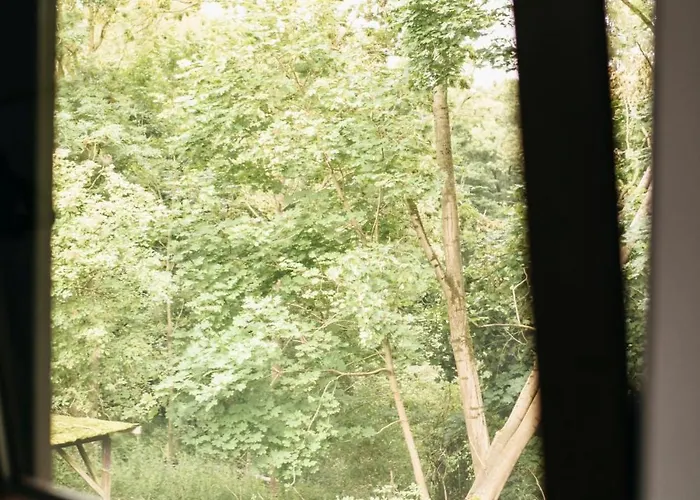 Uroczysko Olesnica Bed & Breakfast 3*